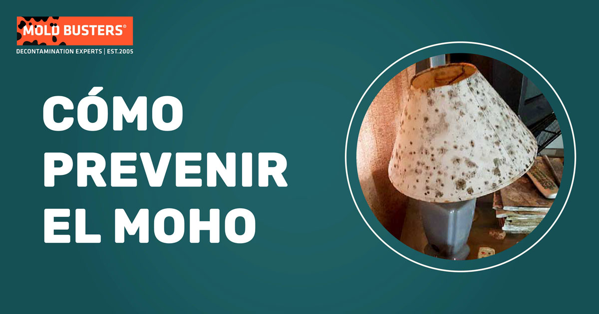 cómo prevenir moho en la casa