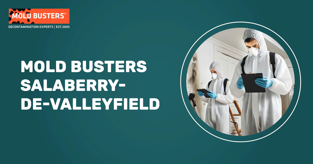 Mold Removal in Salaberry-de-Valleyfield