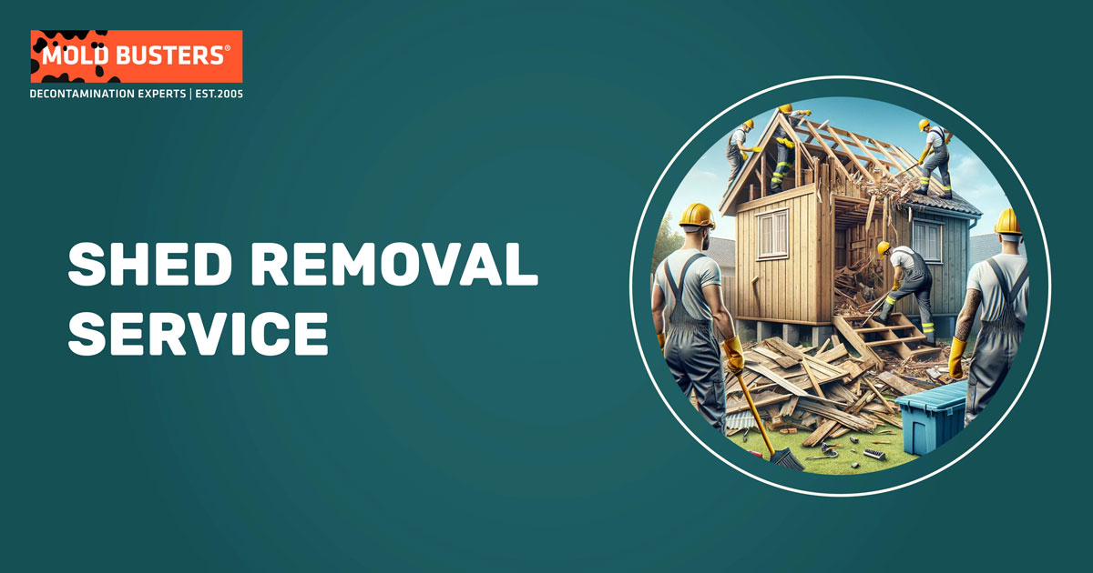 shed removal service