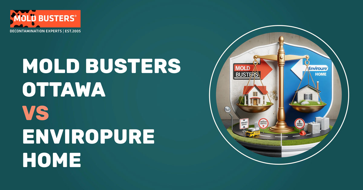 Mold Busters Ottawa vs Enviropure Home