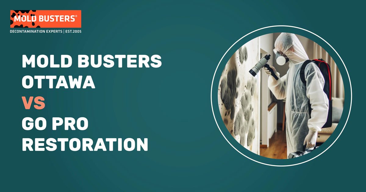 Go Pro Restoration vs Mold Busters Ottawa