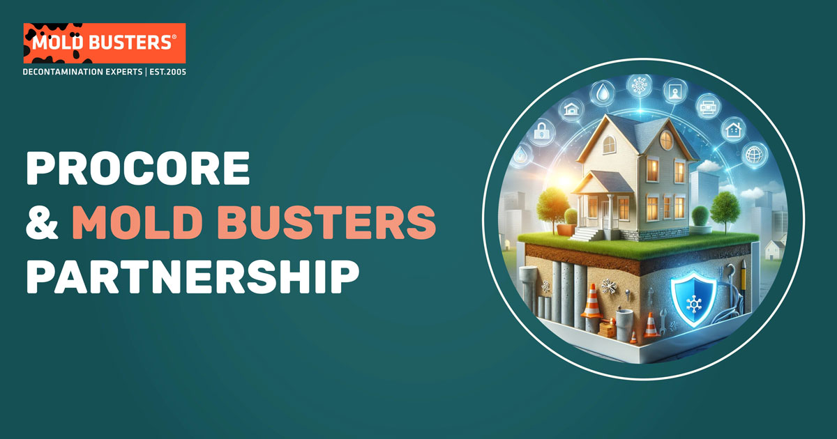 ProCore Foundations Mold Busters Partnership