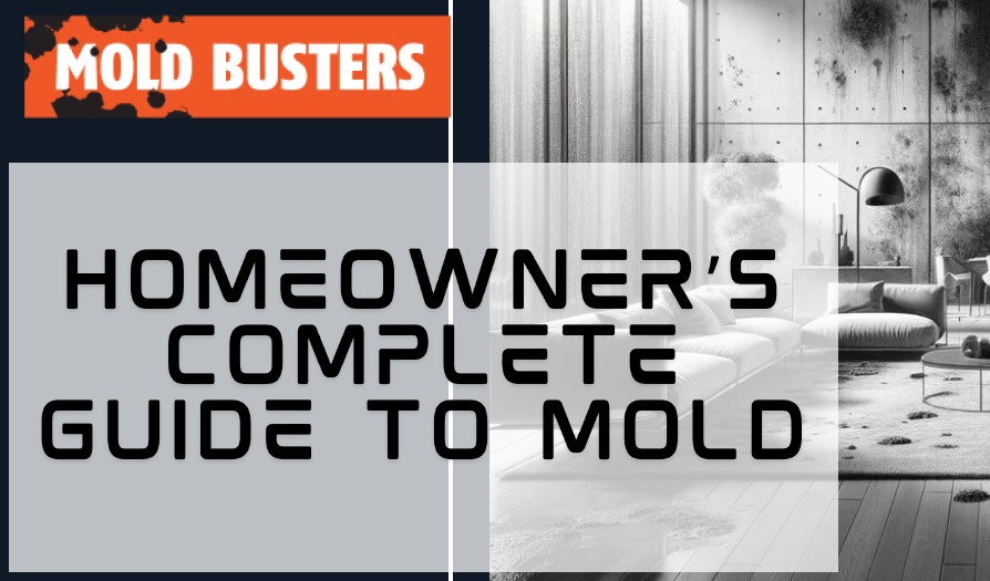 Download - Homeowner’s Complete Guide to Mold