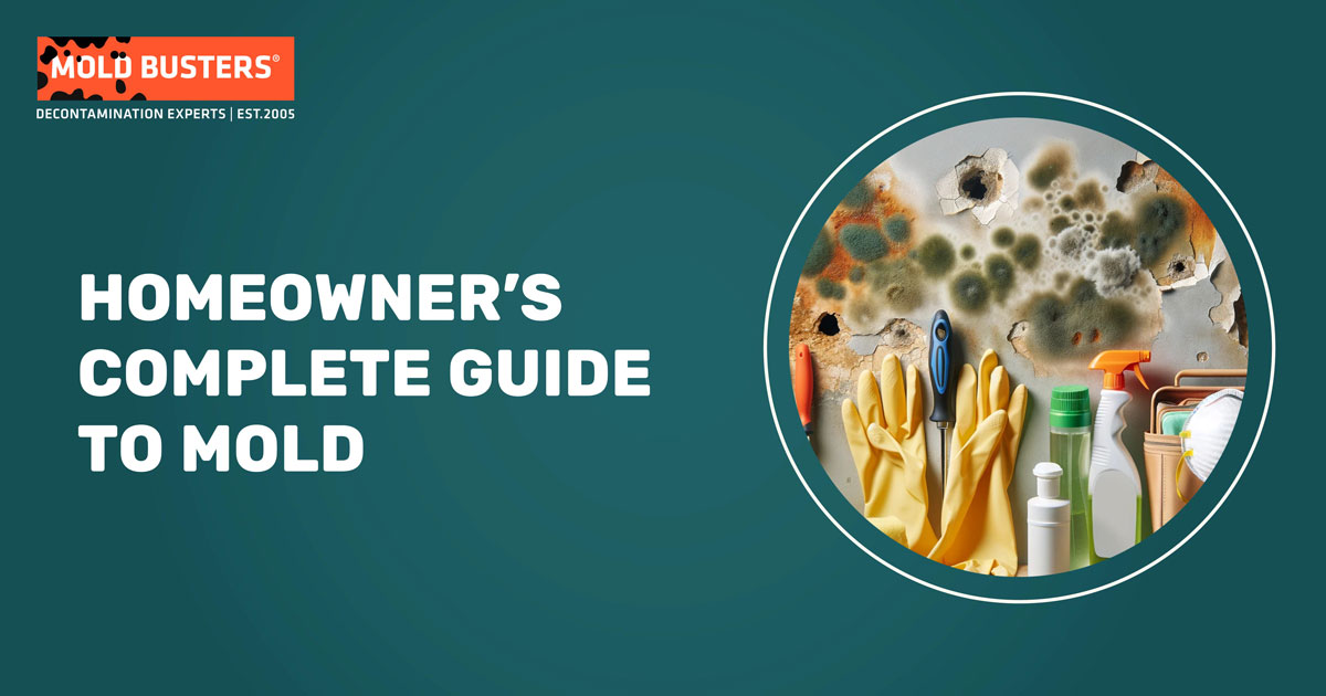 E book Homeowner’s Complete Guide to Mold