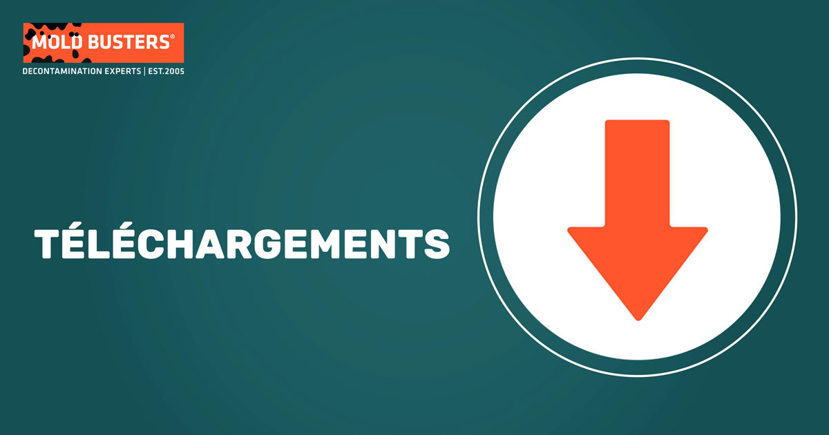 Téléchargements gratuits de Mold Busters