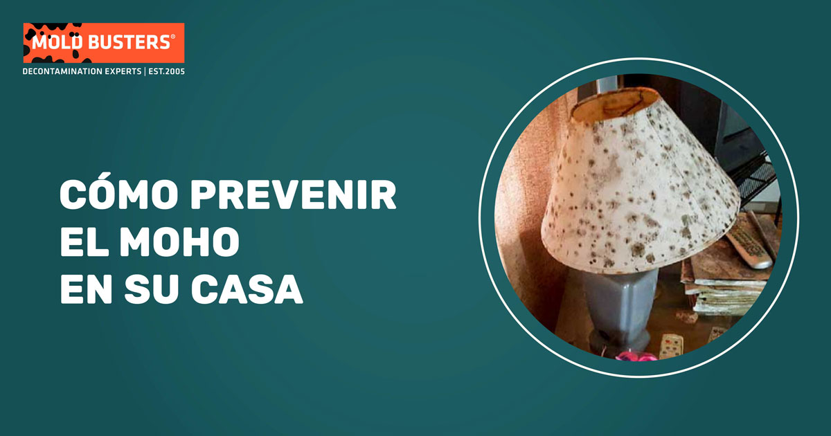 cómo prevenir el moho en casa