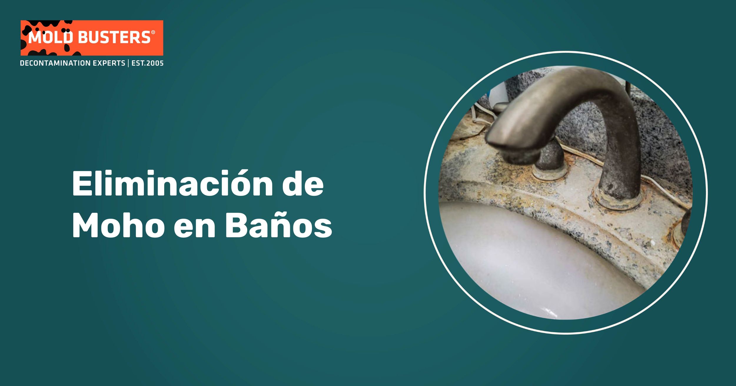 servicio de eliminación de moho en baños