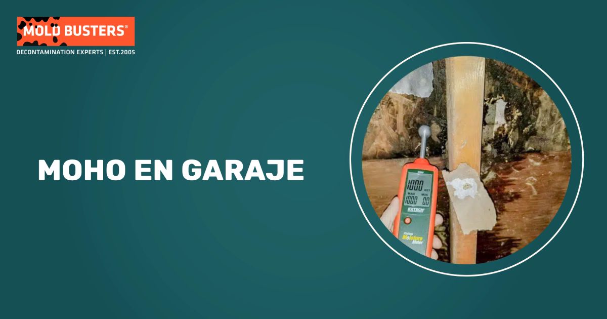 portada de moho en garaje
