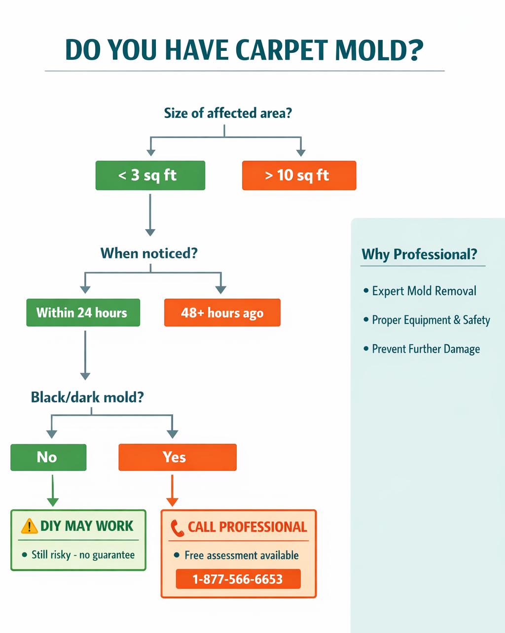 Decision tree flowchart helping determine when DIY carpet mold removal is appropriate versus professional remediation