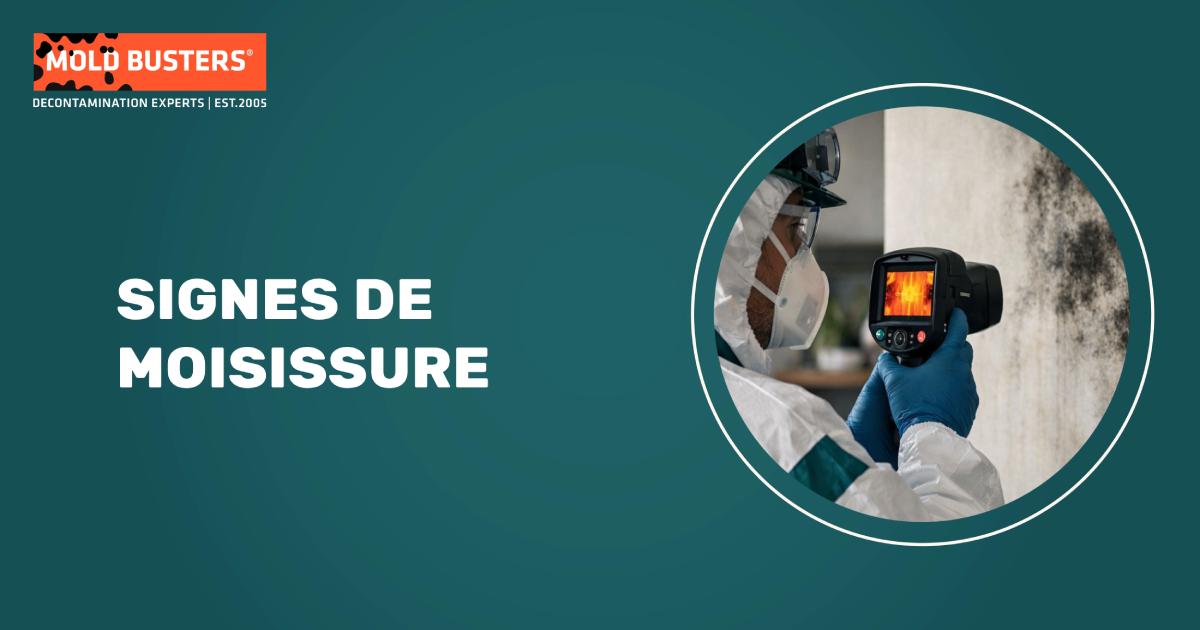 Signes de moisissure dans la maison