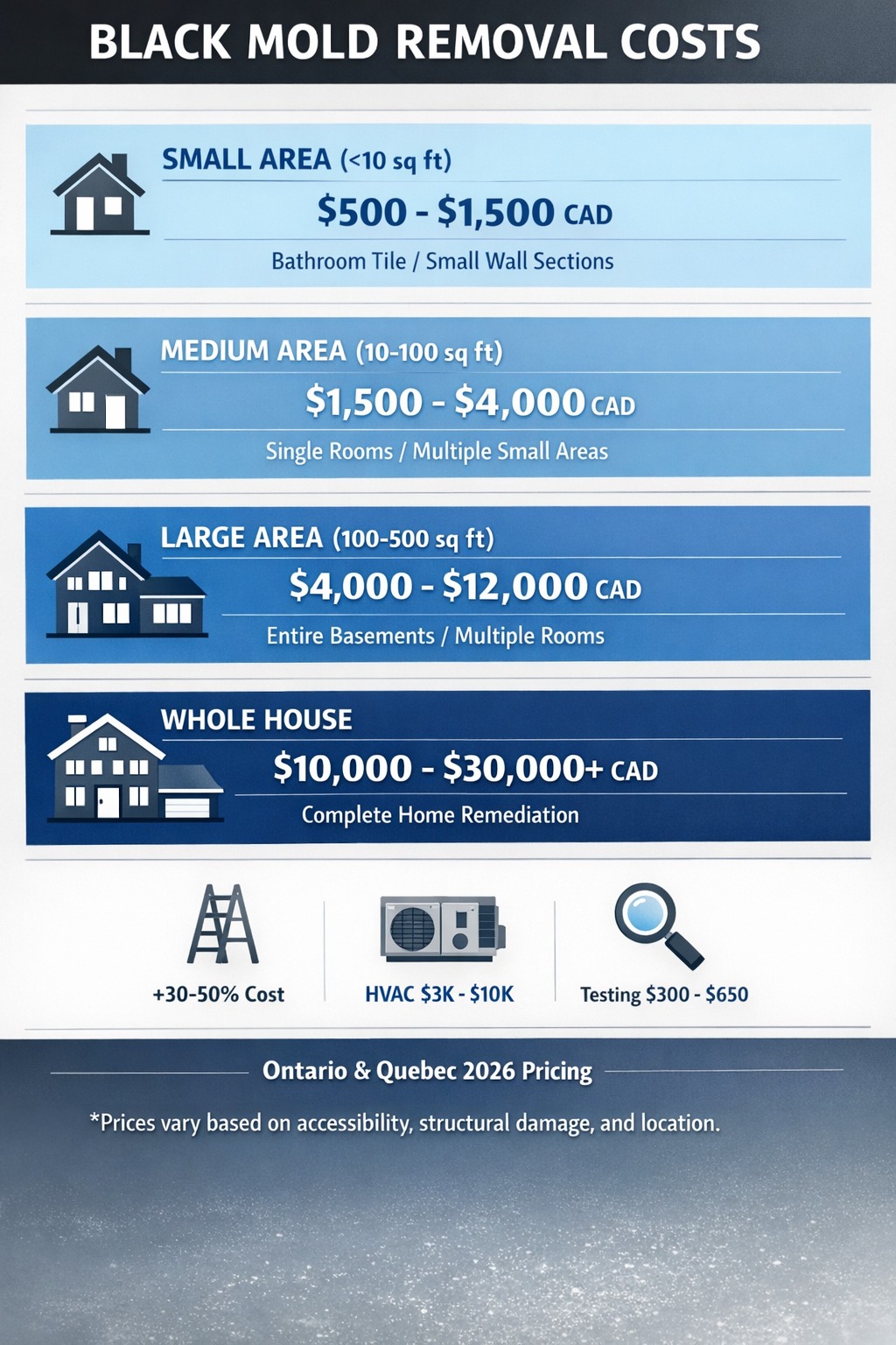 black mold removal cost breakdown ontario quebec