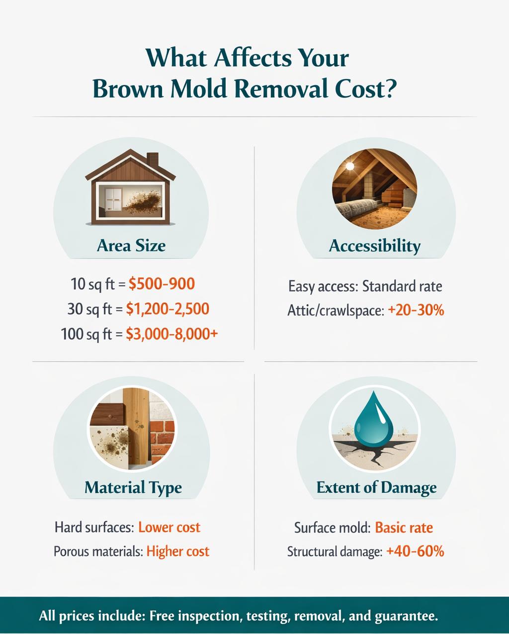 factors affecting brown mold removal cost infographic