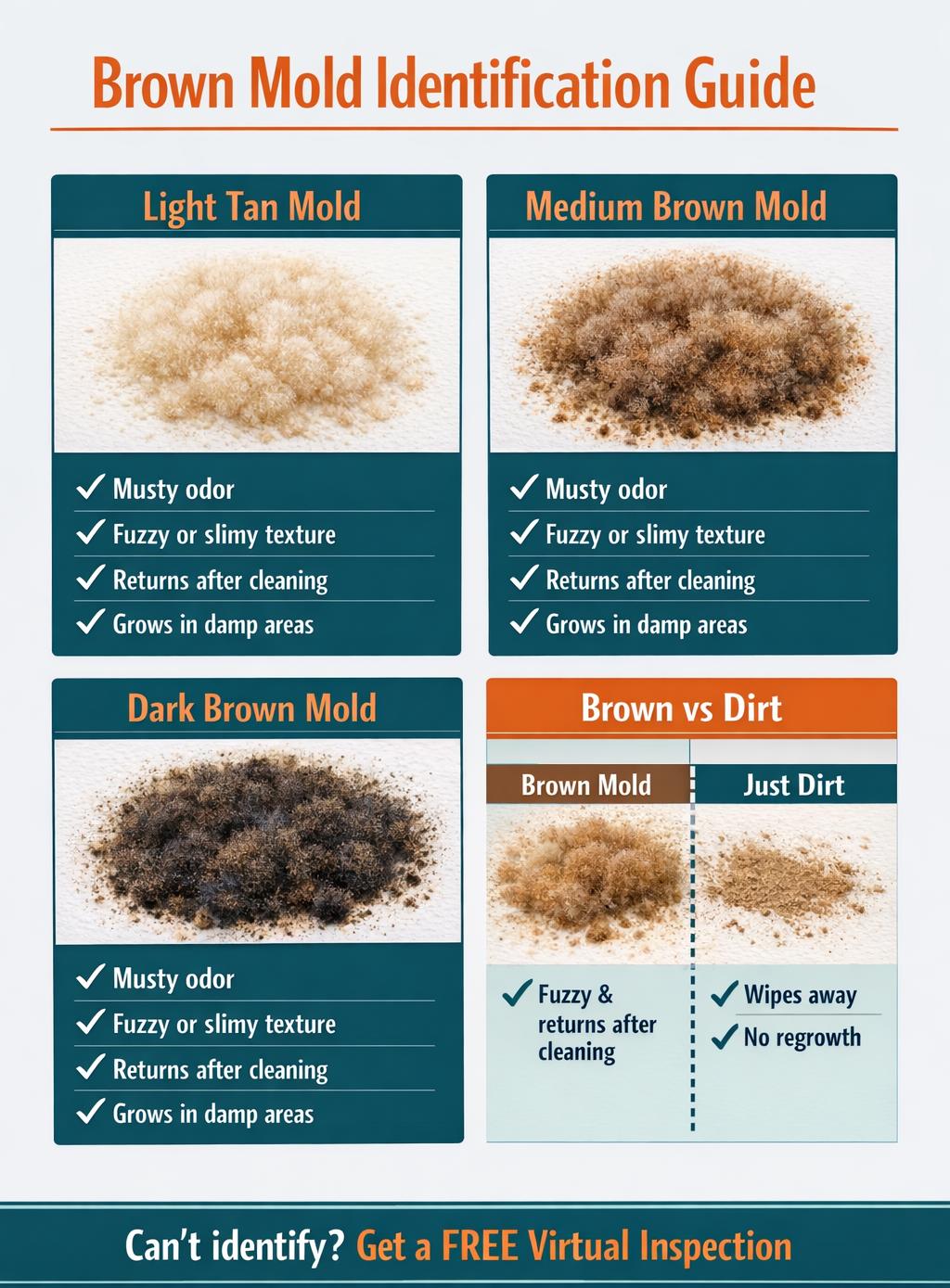 brown mold identification visual guide showing different shades and textures