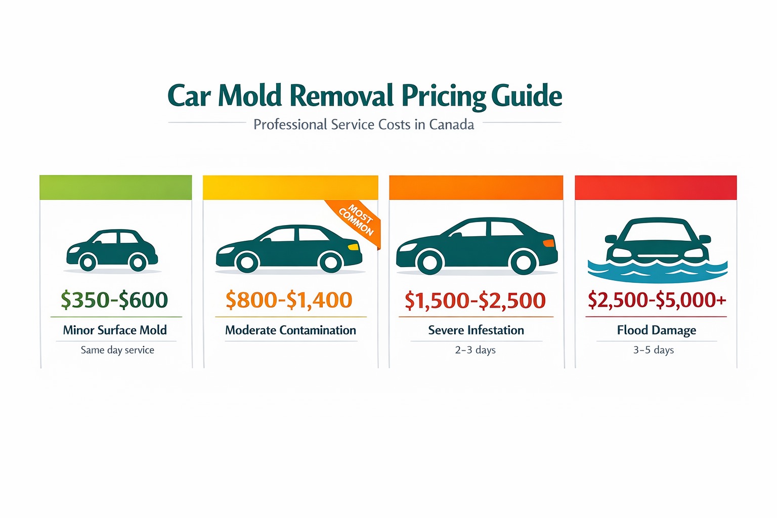 Car mold removal pricing guide showing costs from $350 to $5000 based on contamination severity