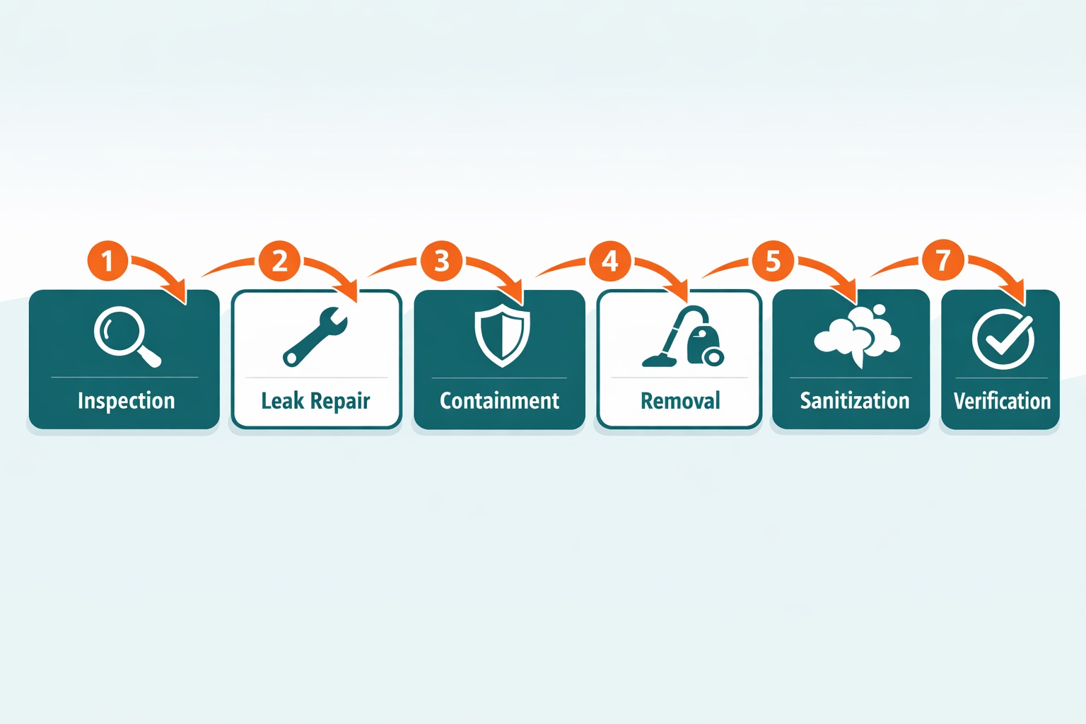 7-step professional car mold removal process flowchart from inspection to verification