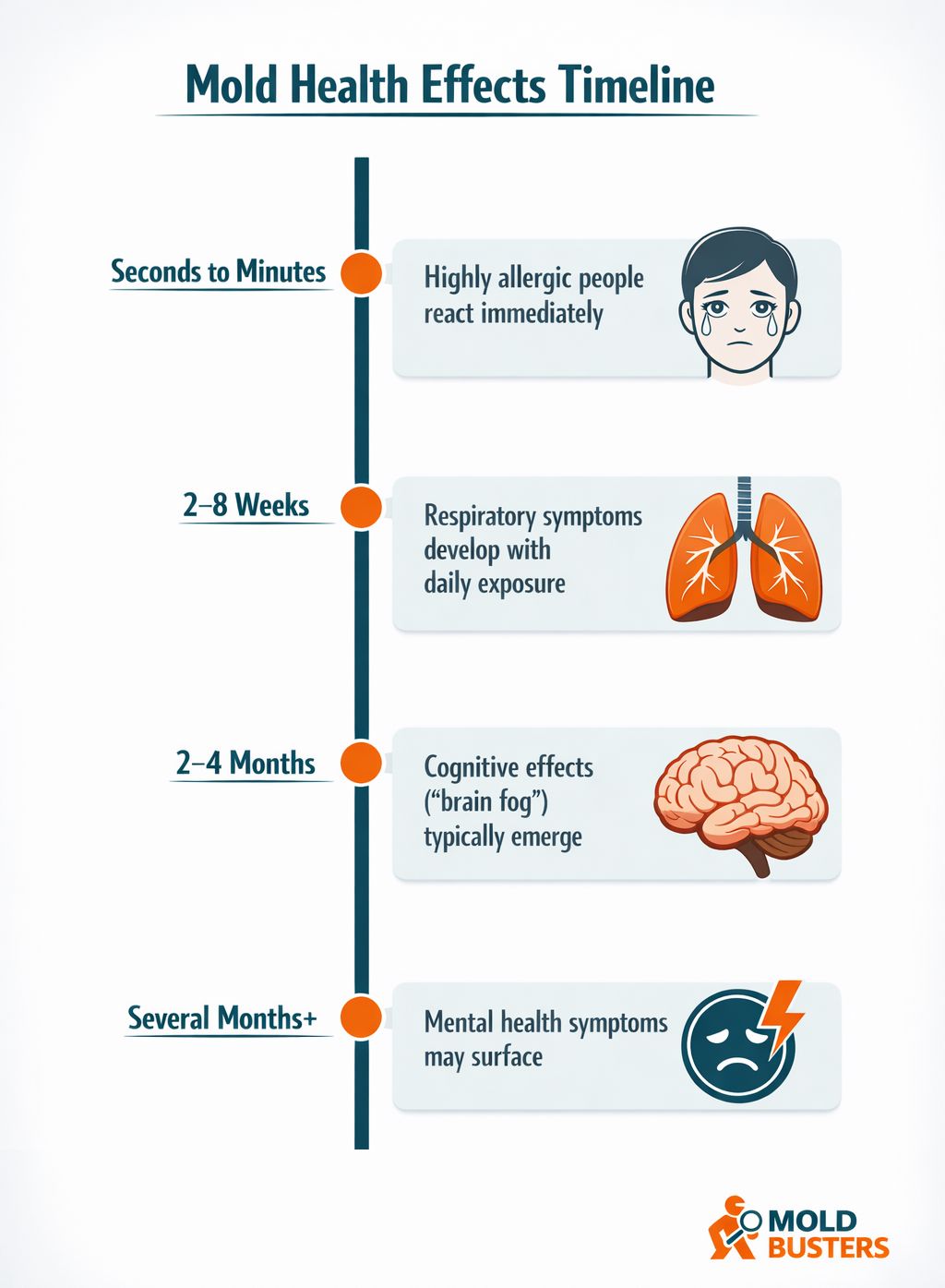 cronograma mostrando cuánto tiempo tarda el moho en afectar la salud desde reacciones inmediatas hasta efectos cognitivos y de salud mental a largo plazo