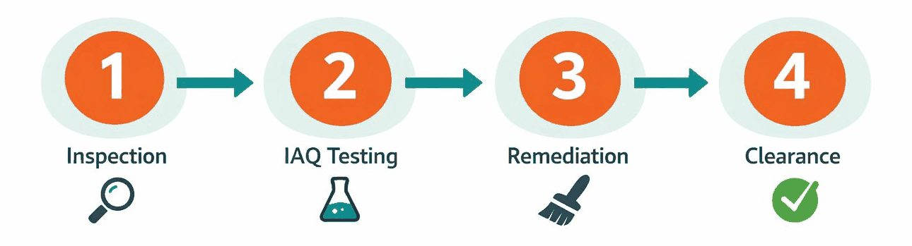 Four-step process: Inspection, IAQ Testing, Remediation, Clearance