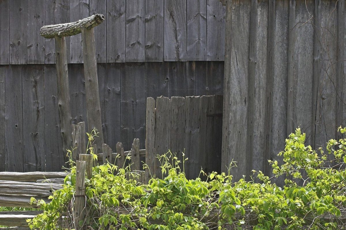 Heritage barn at Black Creek Pioneer Village in Vaughan, part of Mold Busters' York Region virtual inspection service area