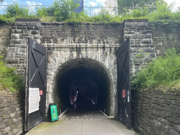 The Brockville Railway Tunnel, Canada's oldest, in the heart of the Mold Busters Brockville service area