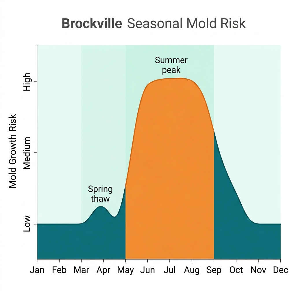 Year-round mold risk in Brockville: a spring-thaw bump from snowmelt and the river freshet, a high humid-summer peak from June to August, and low risk in the cold dry winter.