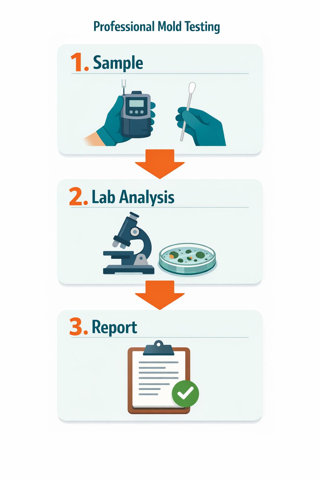 Three-step Montreal mold testing process: sample, accredited lab analysis, and report
