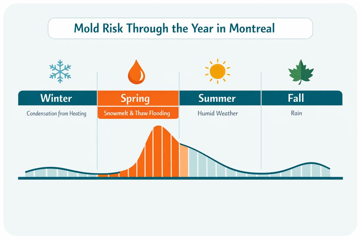 Seasonal mold risk timeline for Montreal, peaking during the spring thaw