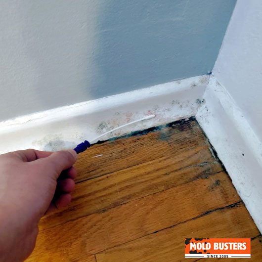Mold Busters inspector taking a surface mold sample along a baseboard in a Montreal home