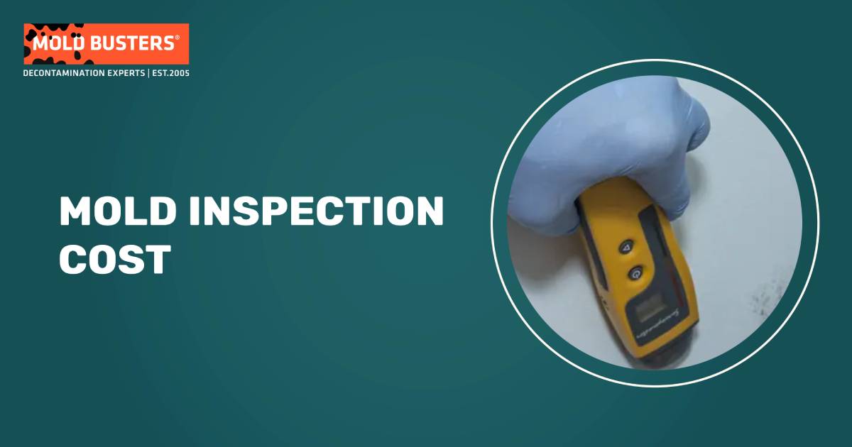 Certified Mold Busters inspector performing a mold inspection at a residential property