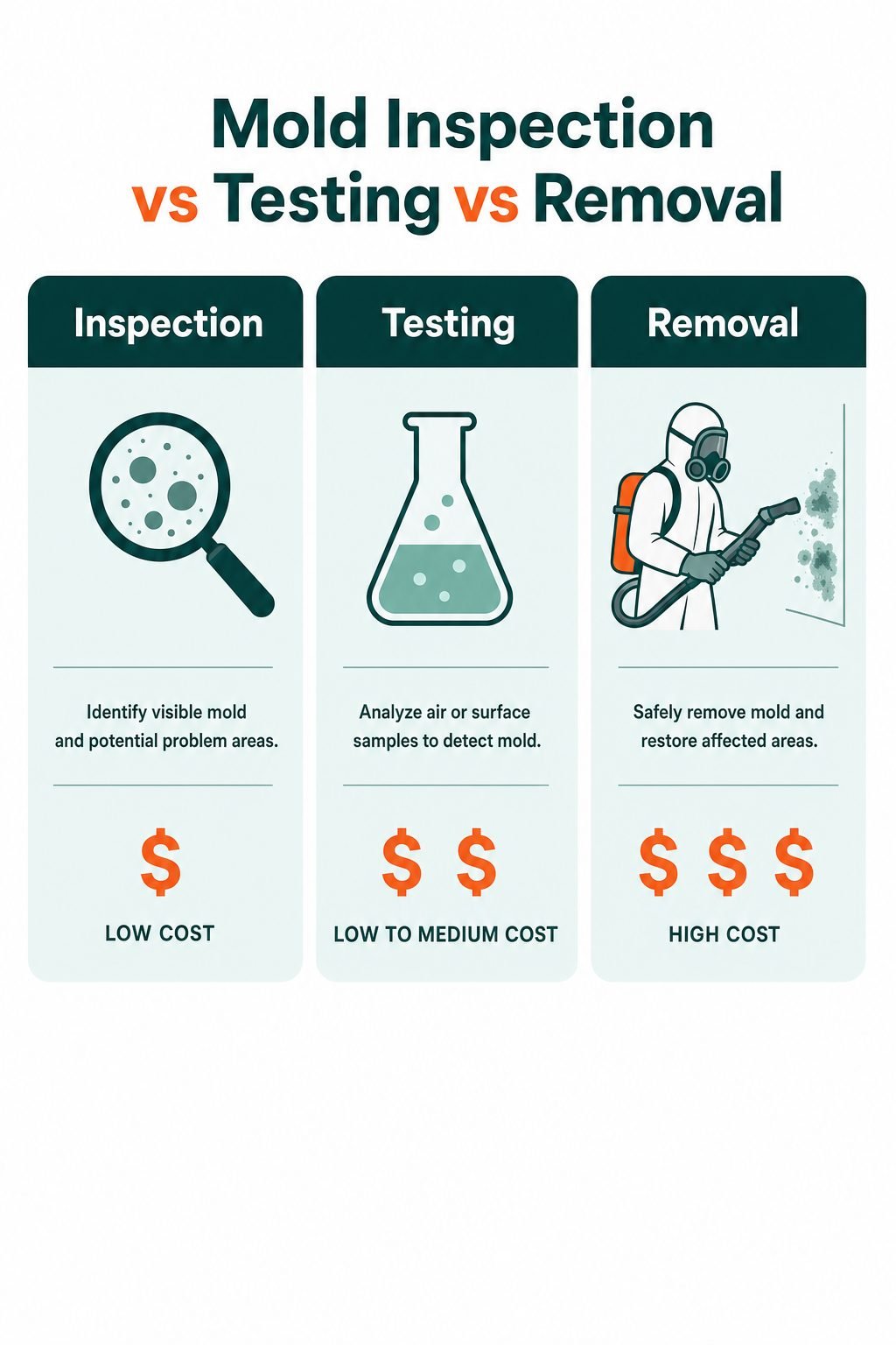 Comparison infographic of mold inspection versus mold testing versus mold removal, showing what each service does and its relative cost