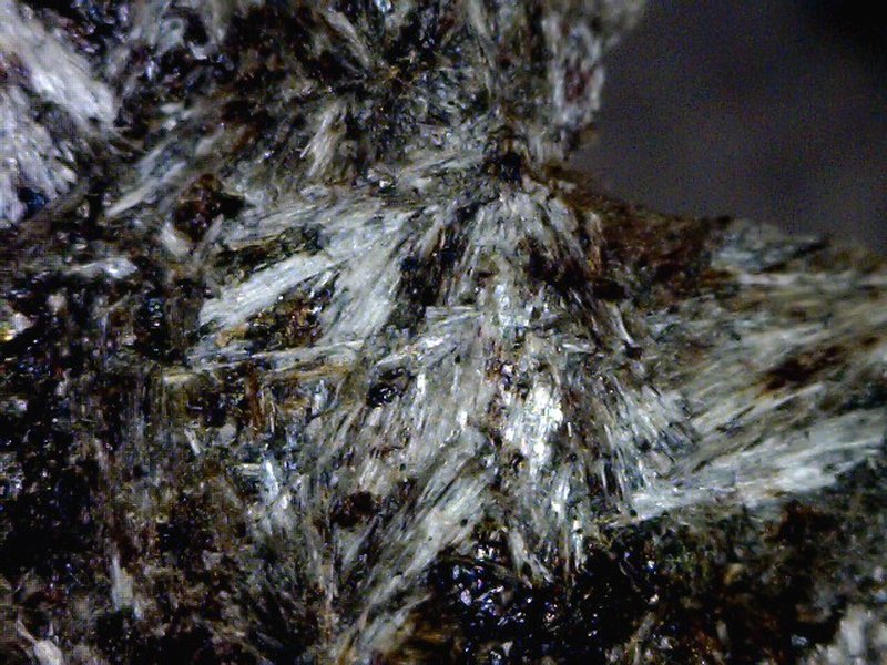 Amosite (brown asbestos) grunerite specimen showing brown-grey radiating fibres